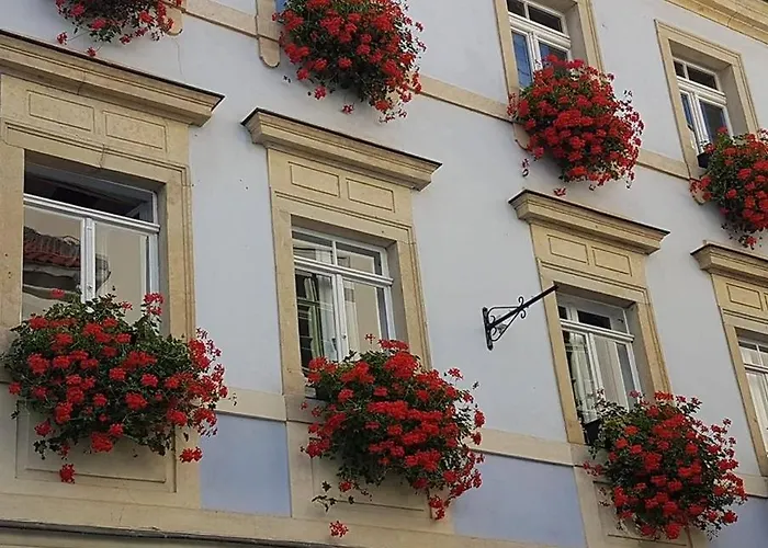 Ines Wolf In Der Meißner Innenstadt