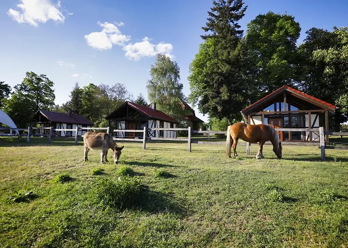 Pferdehof Schorfheide