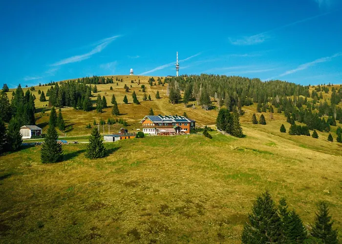 Berggasthof Zur Todtnauer Huette