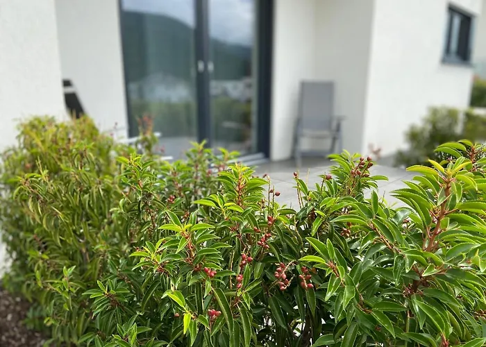 Ferienwohnung Weinbergblick