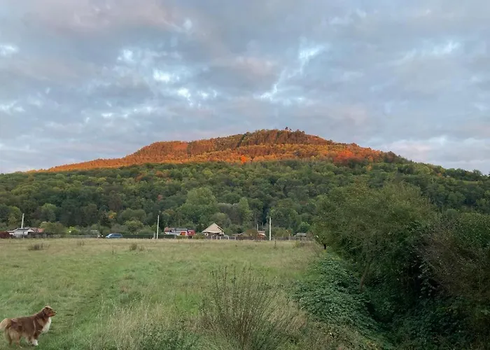 Jena Paradies