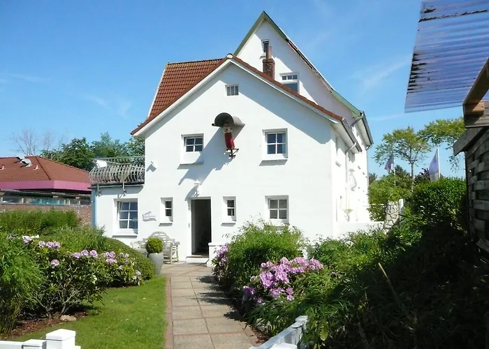 Silbermöwe