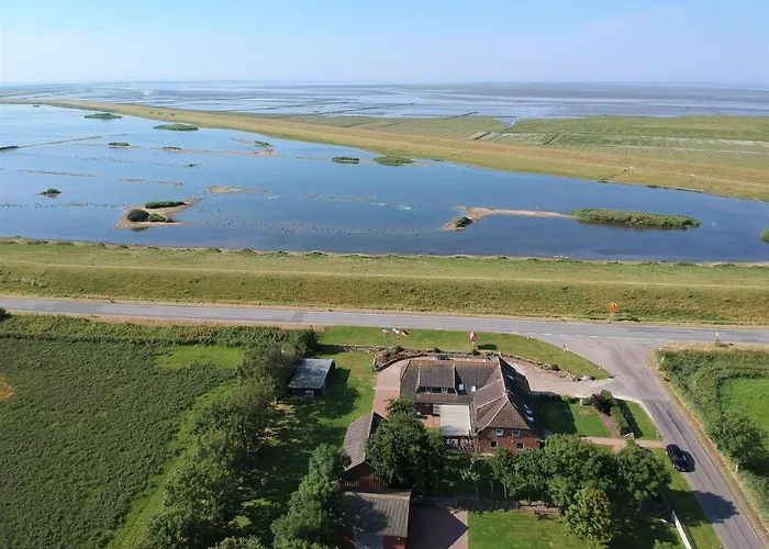 Deichhus Nordseeliebe direkt am Deich - Nordsee - Dagebüll - Am Vogelreservat