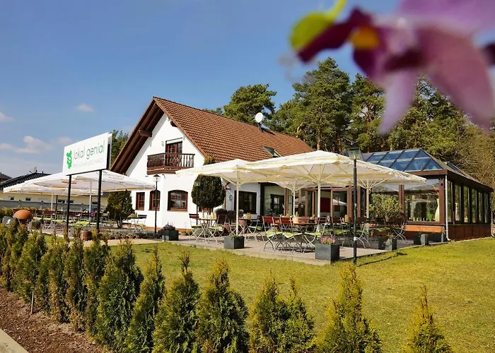 Lokal Genial & Restaurant