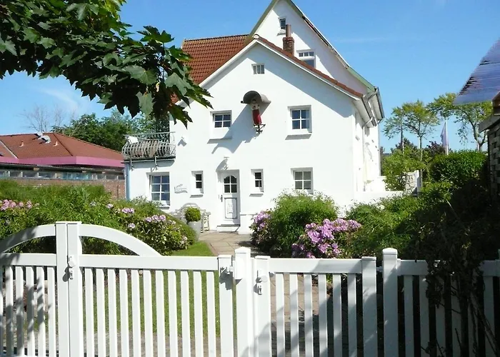 Silbermöwe