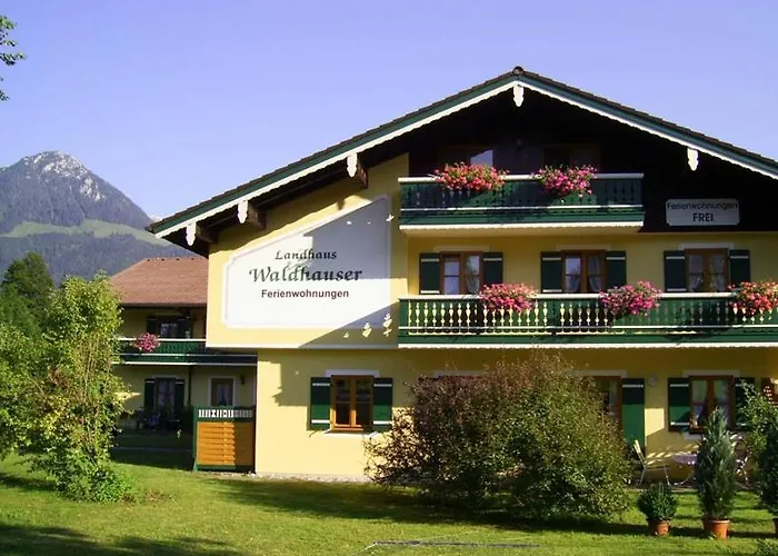 Waldhauser