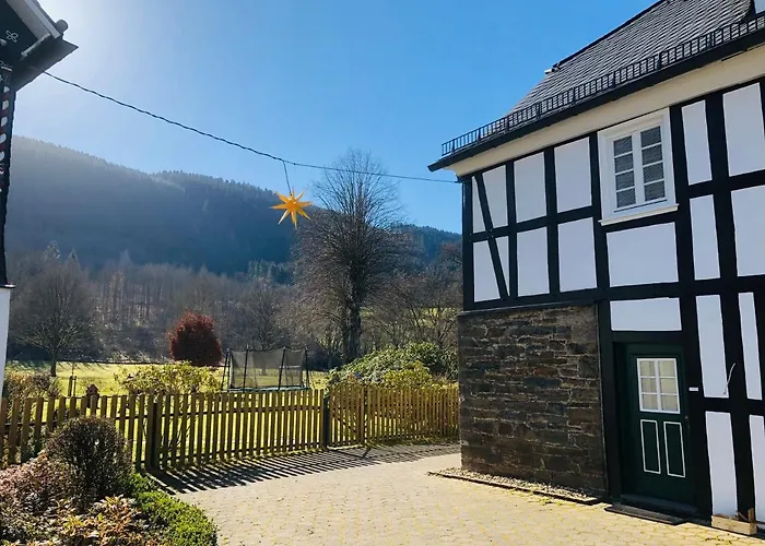 Waldblick