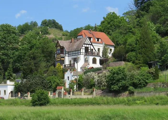 Elbsommer Am Weinberg