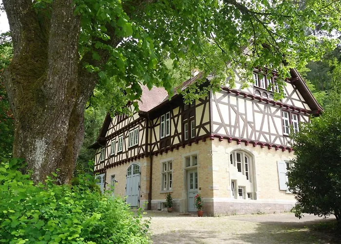 Bed&Breakfast Grünes Gold am Leisberg