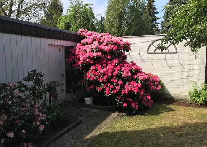 Käthe