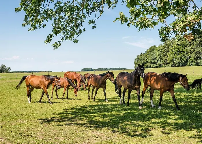 Ferienwohnungen Gut Fasanenhöhe Chieming, Deutschland