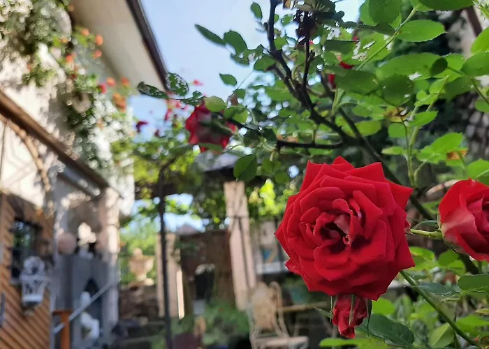 Villa Provence