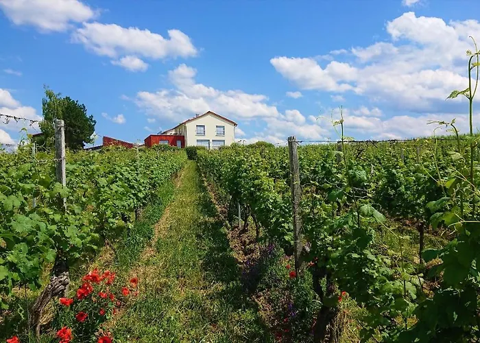 Ferienwohnung Weinbergshof Rickel Kitzingen, Deutschland