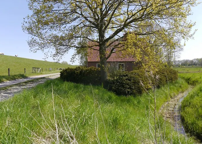 Am Nordseedeich In Alleinlage