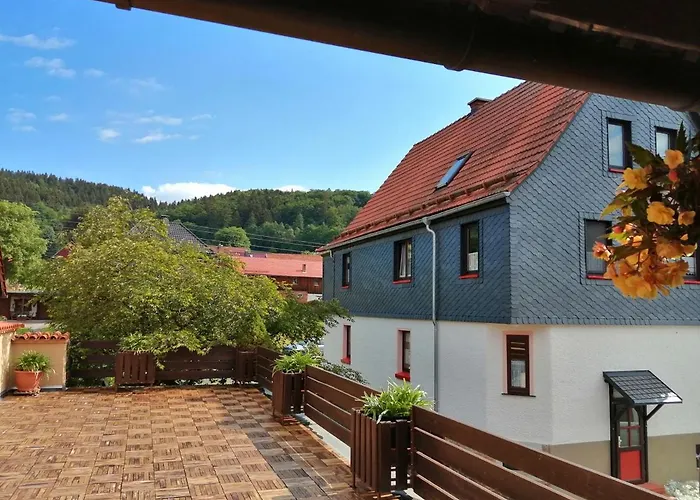 Waldblick