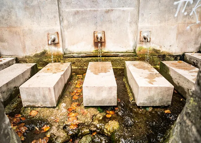 Dreibrunnen Gästehaus im Luisenpark