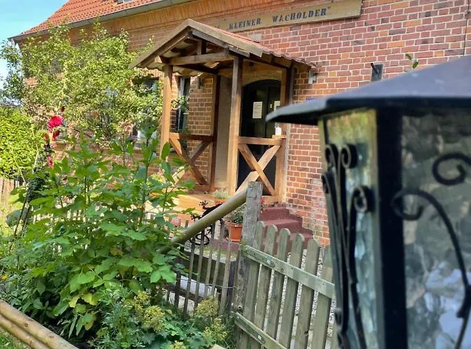 Kleiner Wacholder