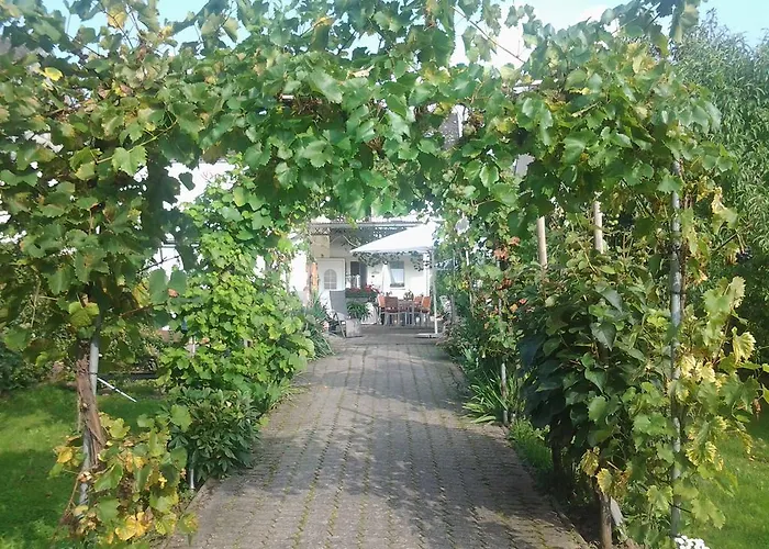 Ferienweingut Arnold Thiesen