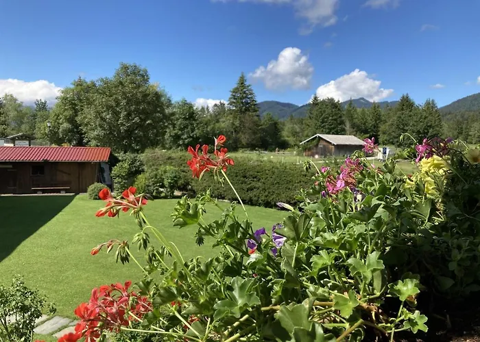 Geierstanger