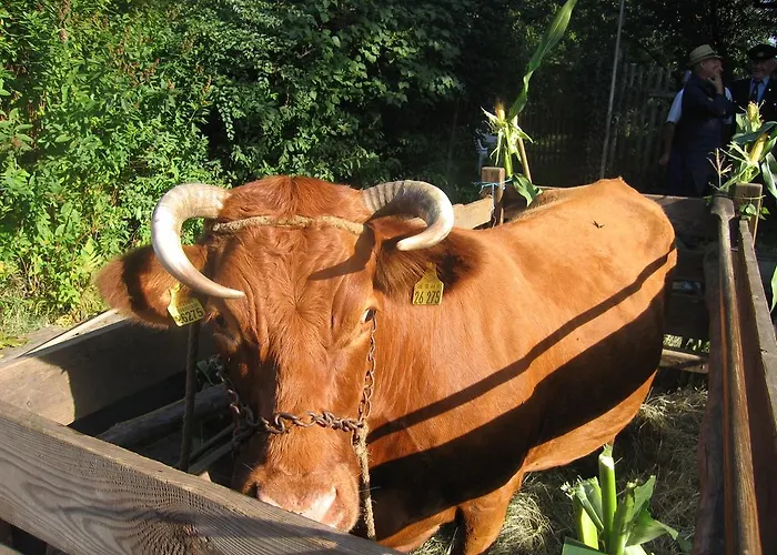 Spreewald Pension Am Spreeschlößchen Lübbenau, Deutschland