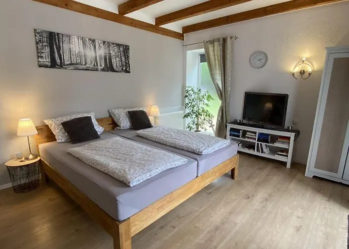 Großes Doppelzimmer mit eigenem Bad und Kühlschrank, frisch saniert