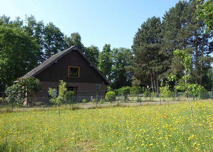 Der Borner Mühle