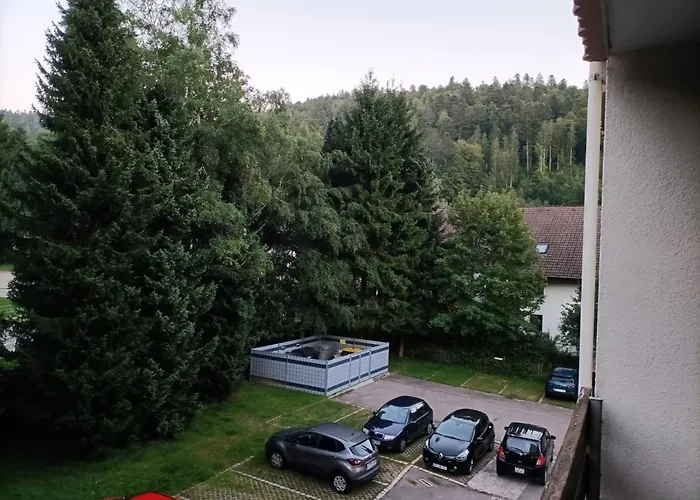 Sonnenkalb