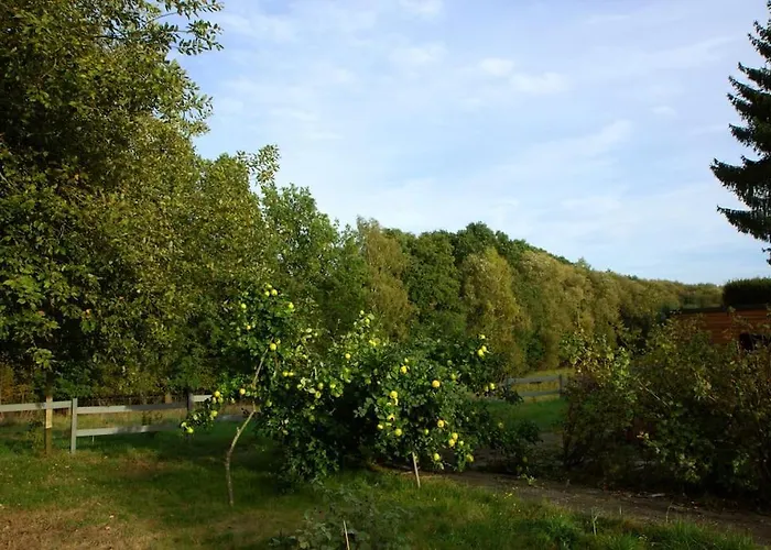 Hirschgrundblick