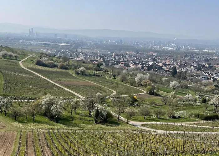 Landgasthof Rebstock Weil am Rhein / Basel, Deutschland