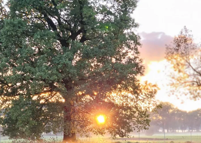 Maerchenhaft Urlauben Auf Dem Alpakahof Apartment Rambow, Germany