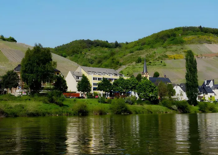 Vegan Und Restaurants Nicolay 1881