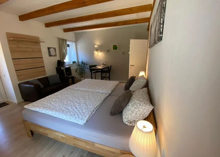 Großes Doppelzimmer mit eigenem Bad und Kühlschrank, frisch saniert