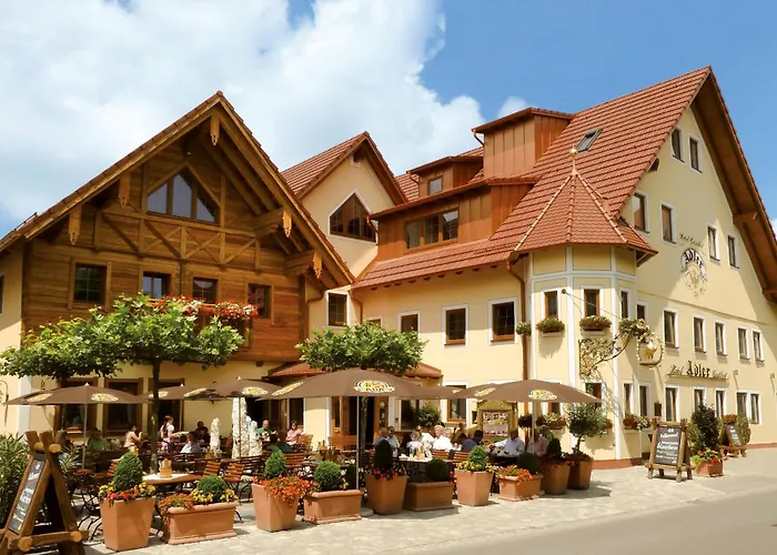 Wellness- ADLER