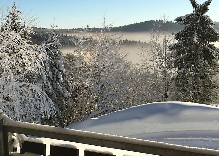 Landhaus Postwiese Winterberg, Deutschland