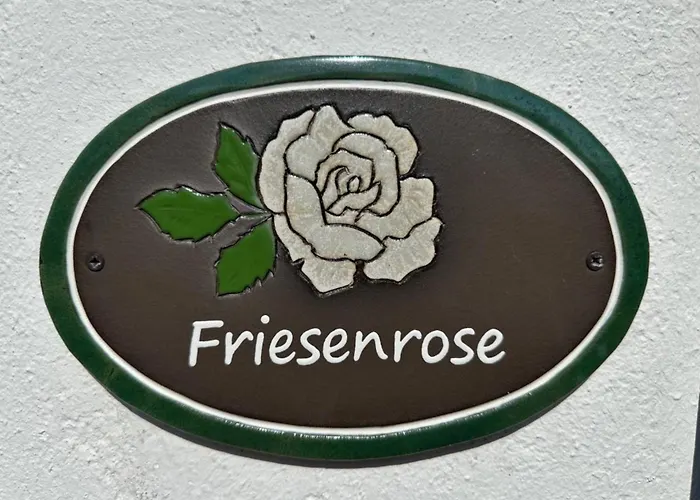Up De Warft - Friesenrose