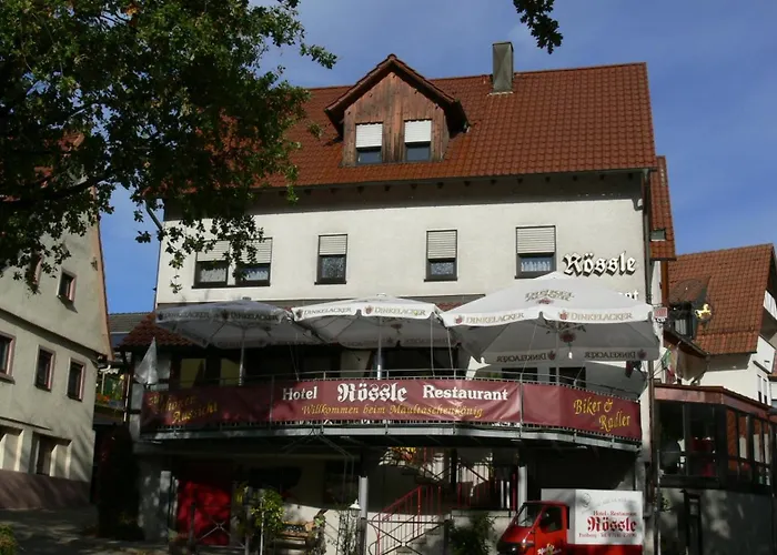 Hotel Roessle Freiberg am Neckar, Deutschland