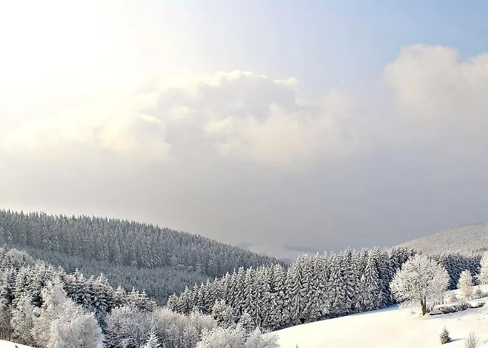 Ferienwohnung Lenneplätze Winterberg, Deutschland