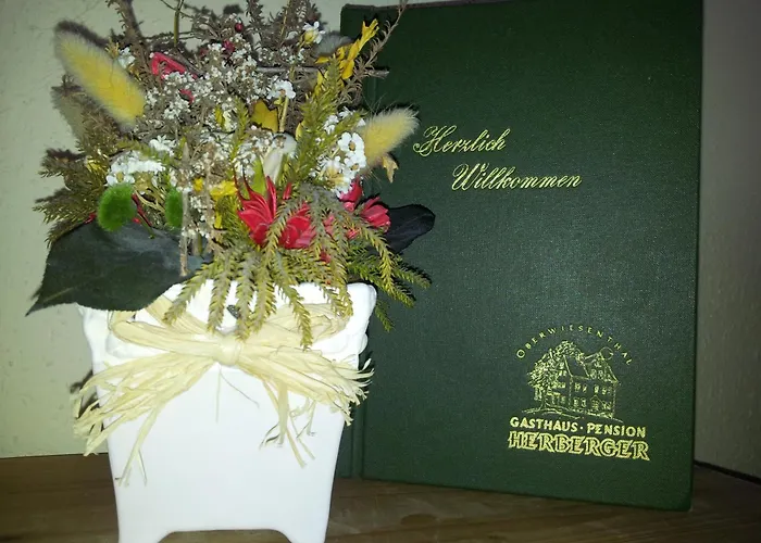 Gasthaus-Pension Herberger