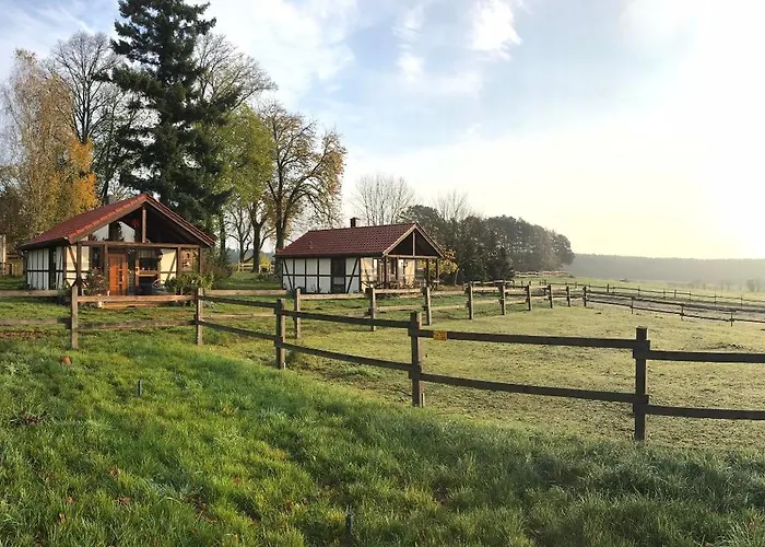 Pferdehof Schorfheide