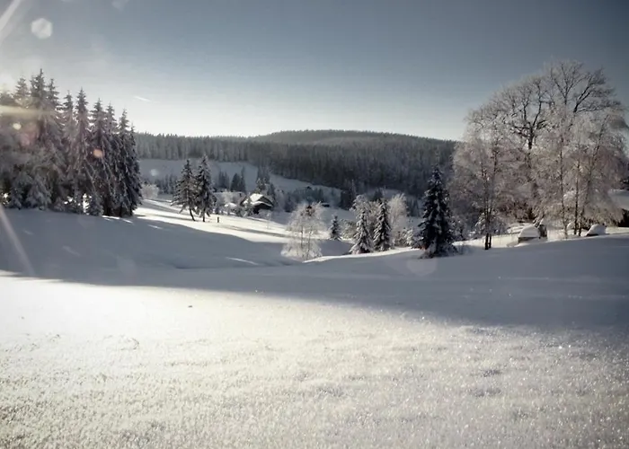 Ferienhotel Mühlleithen Klingenthal, Deutschland