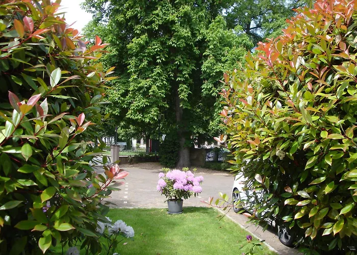 Bellevue