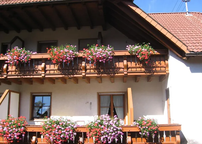 Hotel Gasthaus Zum Hirschen