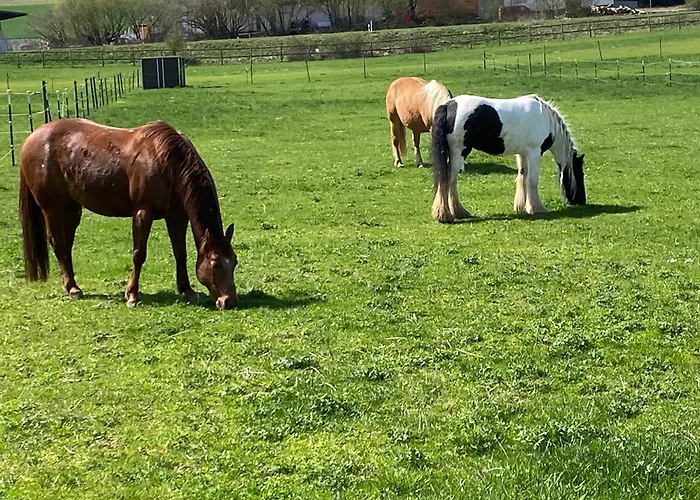 Sonnenhof, Ferienwohnung auf Reitanlage
