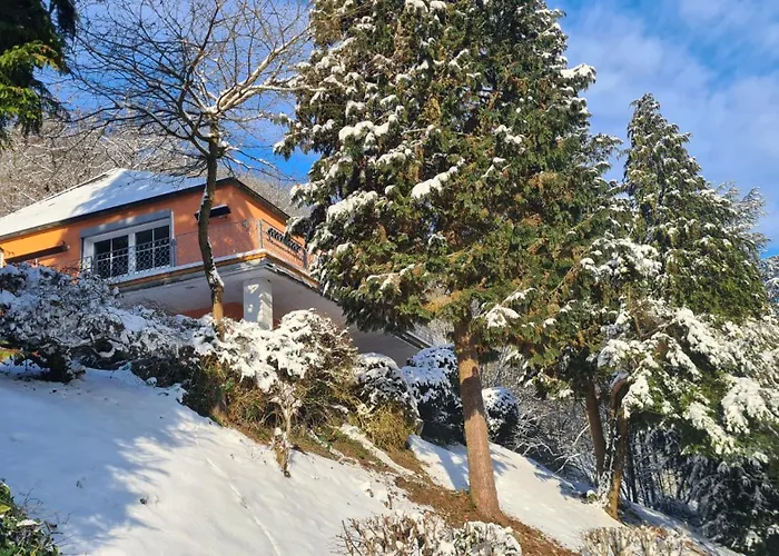 Waldhaus zum gechillten Hirsch in der Natur, bei der Moseltherme Traben-Trarbach