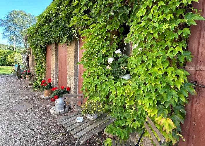 Geräumige Ferienwohnung Im Grünen