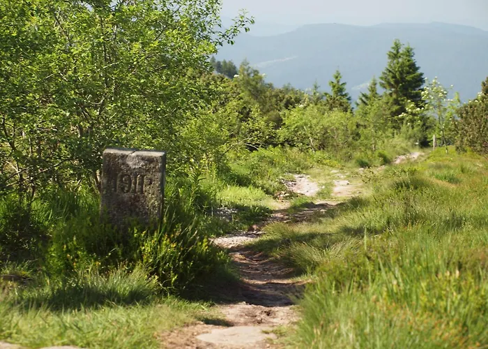 Nationalpark- Schliffkopf