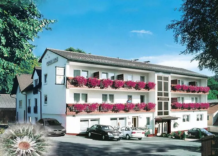 Pension und Fewo Hohe Rhön