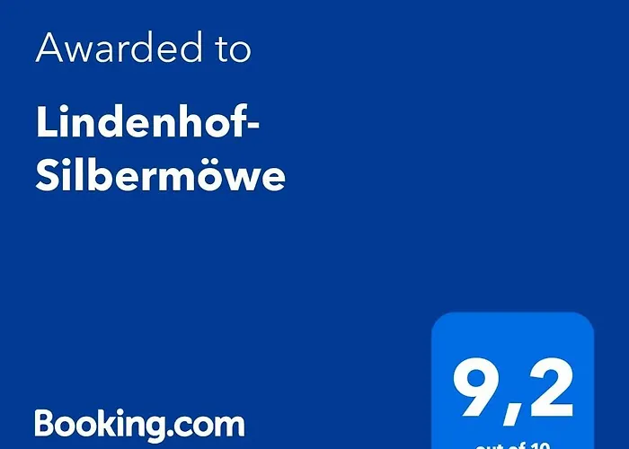 Lindenhof- Silbermöwe