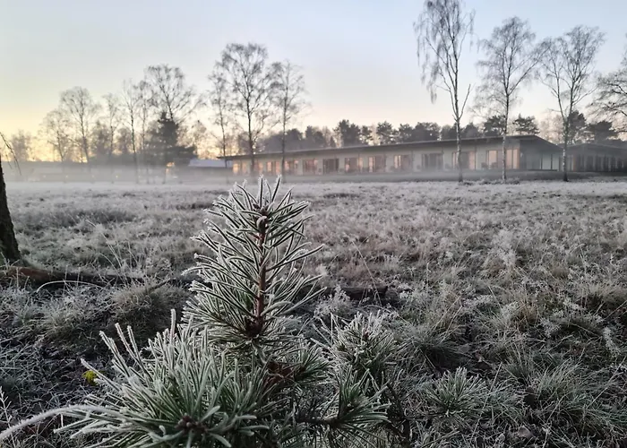 camp Reinsehlen