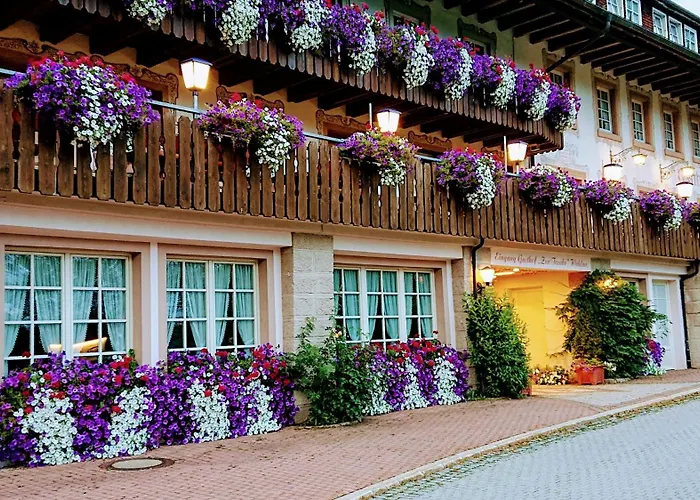 Zur Traube Schwarzwaldhotel & Restaurant Am Titisee Sankt Märgen, Alemania